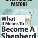 Cosa Significa Diventare un Pastore